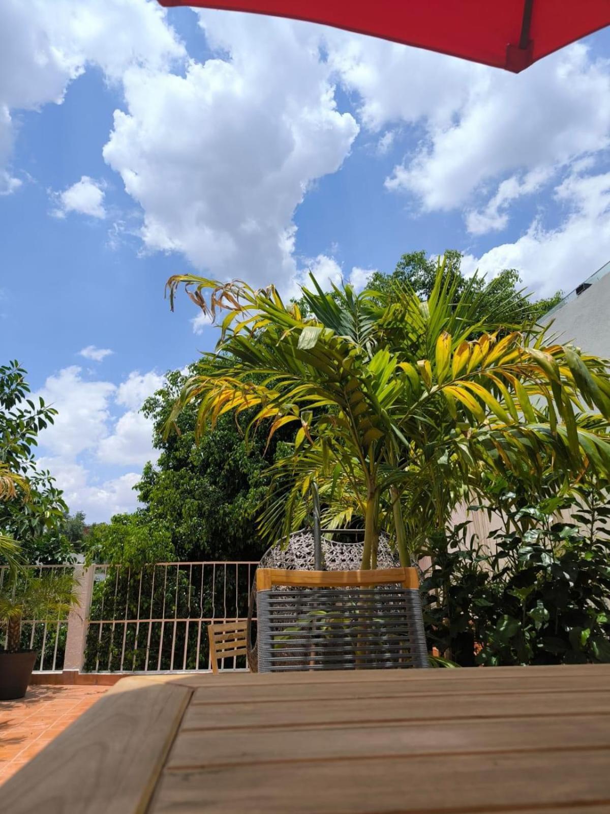 Bed and Breakfast Casa Frida Condesa Ciudad de México Exteriér fotografie
